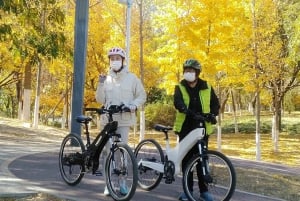 北京中心軸電動自転車ツアー：王朝の見どころをご案内します