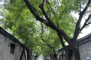 Visite approfondie d'une journée de l'Axe Central de Pékin