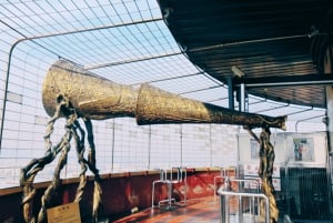 北京：中央ラジオテレビ塔展望台チケット