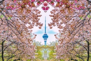 Beijing: Billett til observasjonsdekket i det sentrale radio- og TV-tårnet