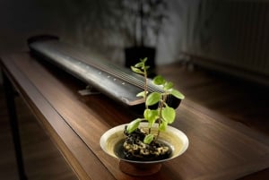 Beijing: Zomerpaleis & thee- of kalligrafie-ervaringstour