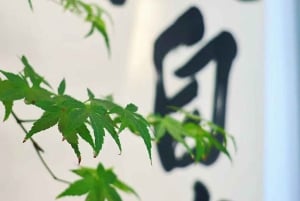 Beijing: Workshop i kinesisk maleri og kalligrafi