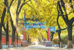 Pechino: Tempio Confuciano, biglietto d'ingresso al Guozijian + trasferimenti