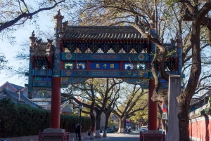 Beijing: Konfucius-templet og det kejserlige kollegium E-billet