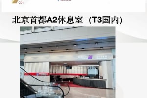 Peking: Daxingin kansainvälinen lentokenttä CHUM-loungen käyttöoikeus