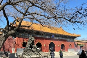 Peking: Dim Sum Frühstück & Hutong History Tour