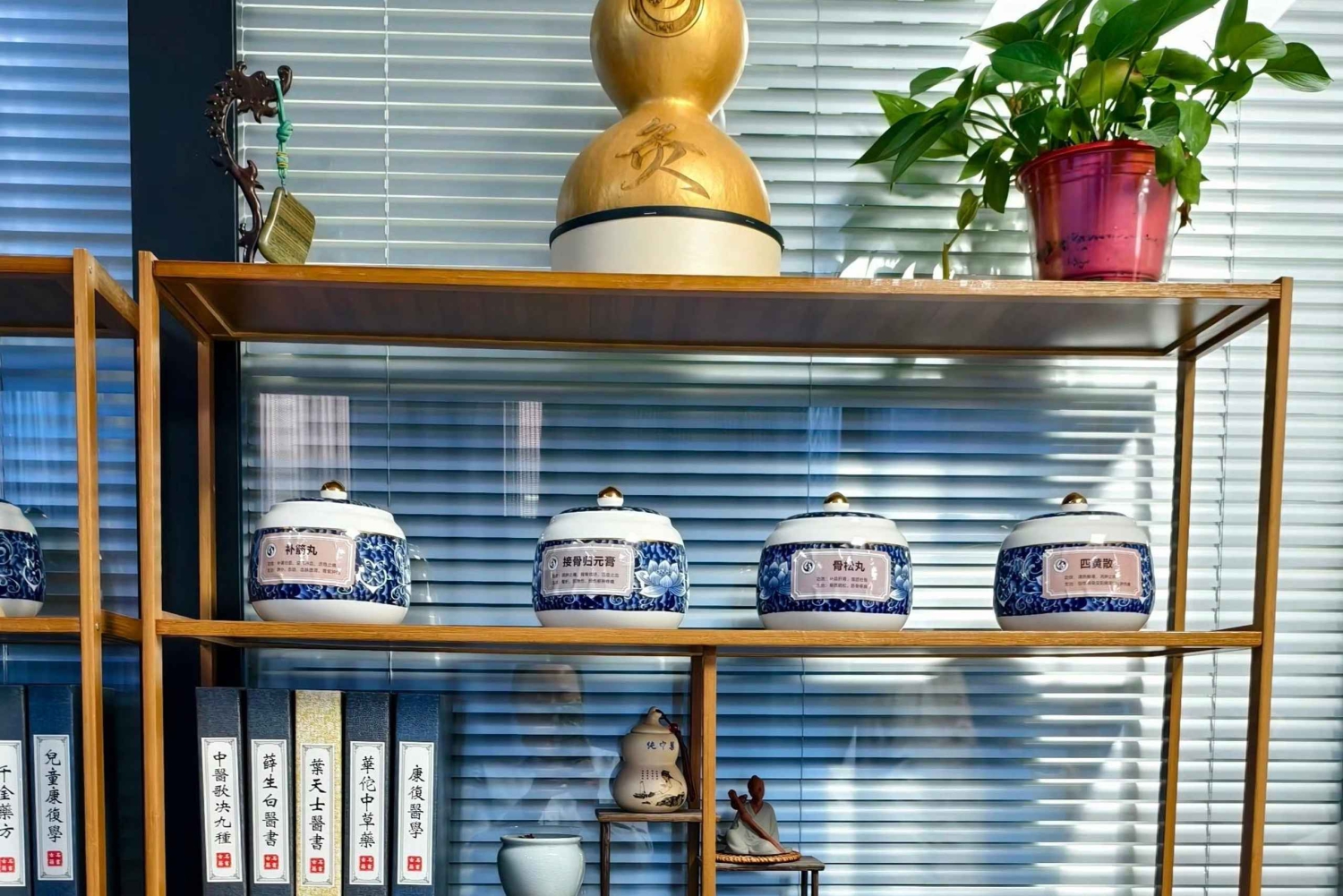 Beijing: Oplev magien og videnskaben bag kinesisk medicin