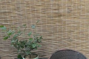 Pekín: aprende a hacer dumplings con una abuela local