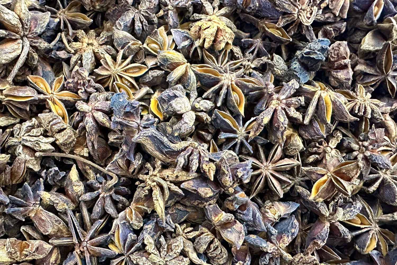 Pechino: Lezione di preparazione dei fagottini con visita al mercato delle erbe