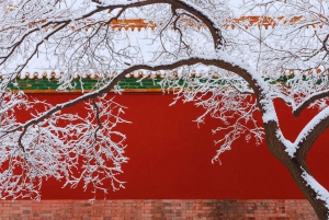 Beijing: Temple of Heaven & Summer Palace Small-Group Tour