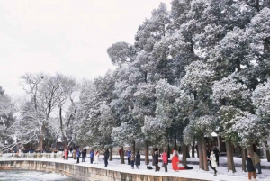 Beijing: Temple of Heaven & Summer Palace Small-Group Tour