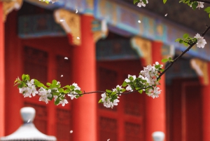Beijing: Temple of Heaven & Summer Palace Small-Group Tour
