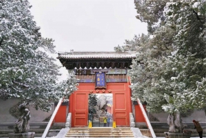 Beijing: Temple of Heaven & Summer Palace Small-Group Tour