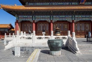 Peking: Kielletty kaupunki ja Pekingin ankka – yksityinen kierros