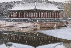 Pechino : Biglietto d'ingresso alla Città Proibita