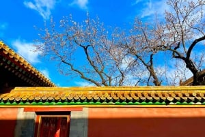 Peking: Verbotene Stadt – Enthüllung der Geheimnisse hinter den roten Mauern