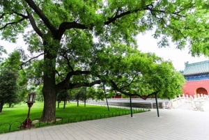 北京：紫禁城・天壇・故宮ツアー