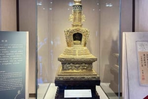 Pechino: tour di Piazza Tianmen, Città Proibita e Museo Imperiale