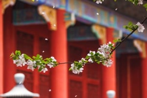 Peking: Kielletty kaupunki: Tiananmenin aukio ja Kielletty kaupunki Opastettu kierros