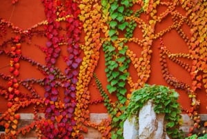 Peking: Kielletty kaupunki: Tiananmenin aukio ja Kielletty kaupunki Opastettu kierros