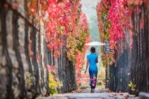 Beijing: Gubei Water Town og den kinesiske mur – privat tur