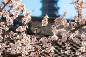 Beijing: Gubei Water Town og den kinesiske mur – privat tur