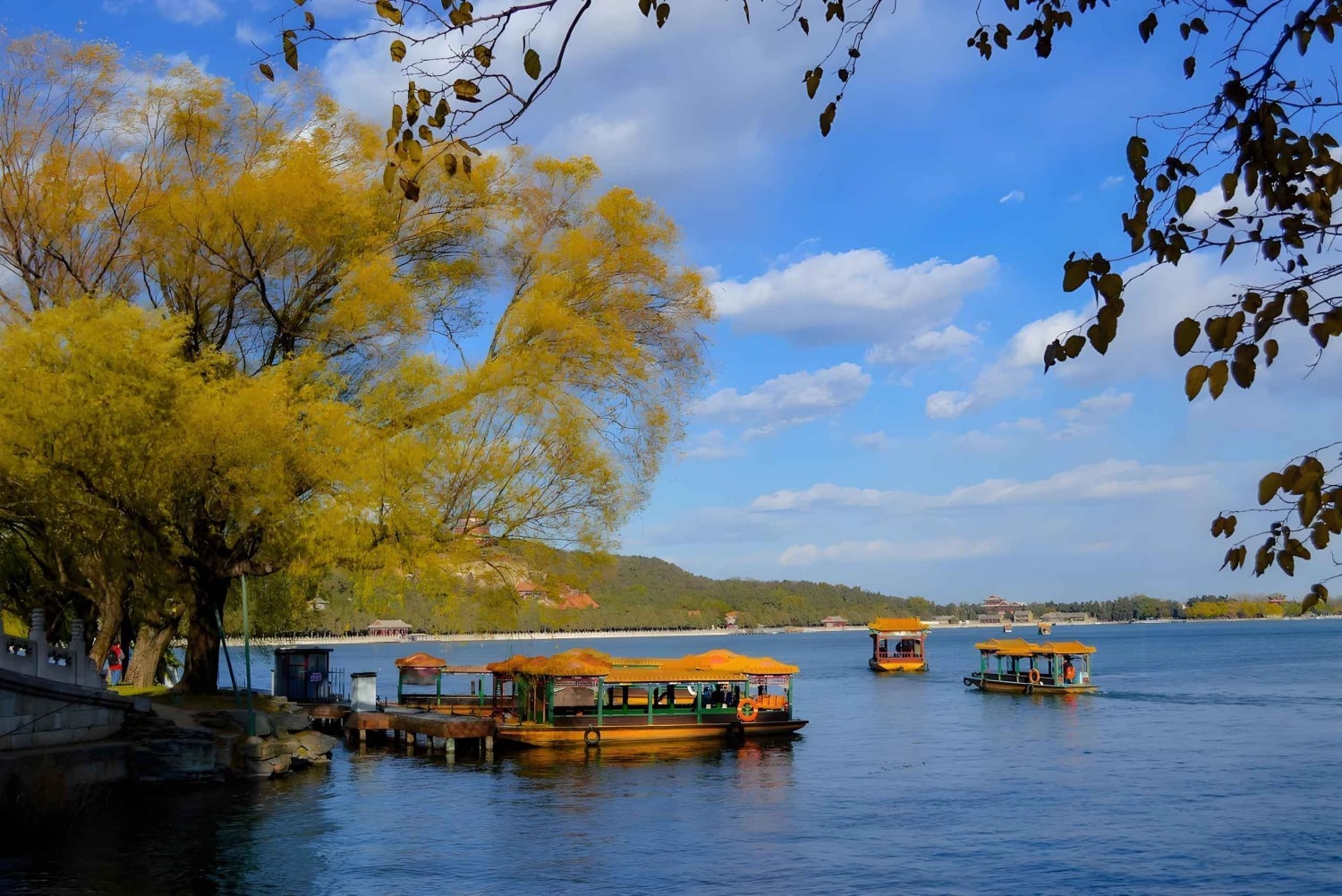 Pequim: excursão de meio dia de barco para explorar o Palácio de Verão