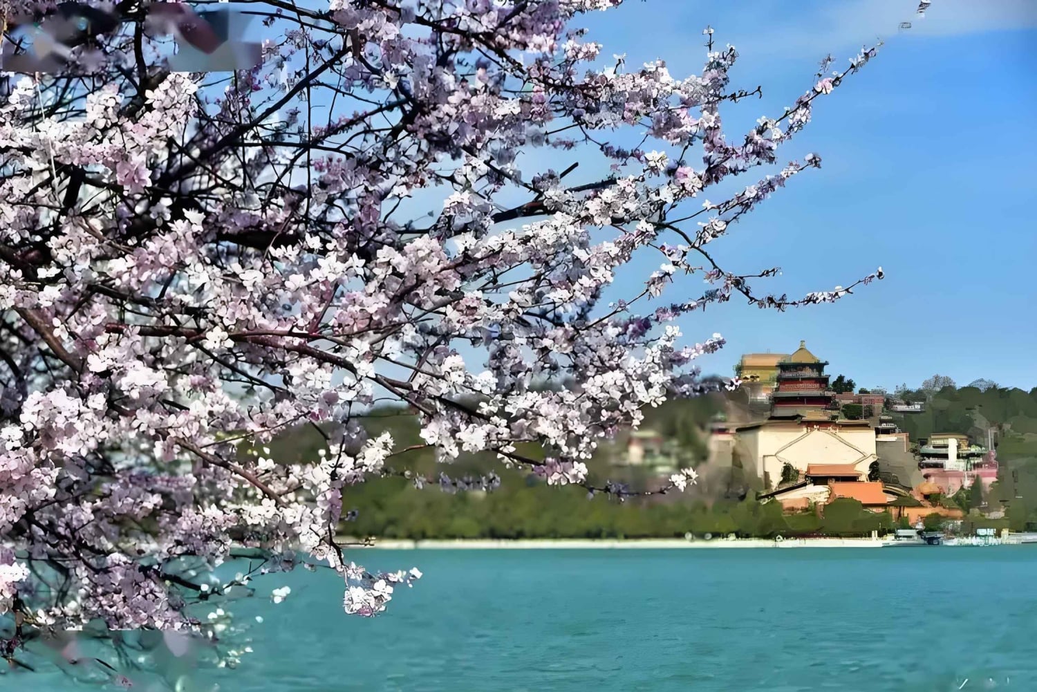 Pequim: excursão de meio dia de barco para explorar o Palácio de Verão