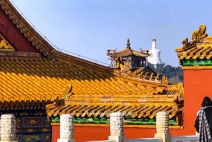 Pékin : visite privée à pied des sites incontournables de la Cité interdite