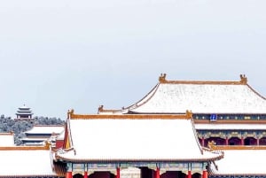 Pékin : visite privée à pied des sites incontournables de la Cité interdite