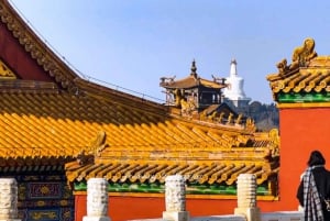Pékin : visite privée à pied des sites incontournables de la Cité interdite