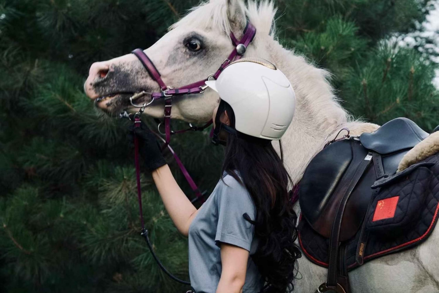 Pechino: esperienza di equitazione con cena