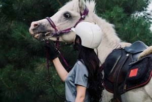 Pechino: esperienza di equitazione con cena