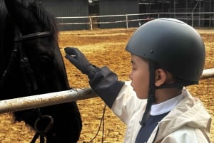 Pechino: esperienza di equitazione con cena