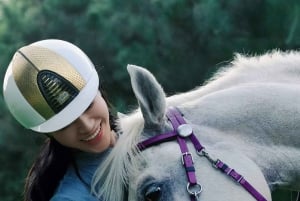 Pechino: esperienza di equitazione con cena