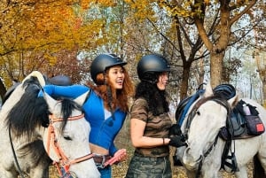 Pechino: esperienza di equitazione con cena