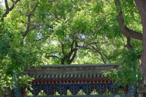 Пекин: Индивидуальный тур по культуре Хутунов и дегустации чая