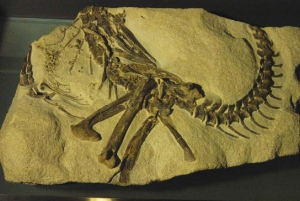 Beijing：Hutong Museum Cluster Tour—Culture, Temples & Life