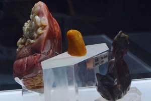 Beijing：Hutong Museum Cluster Tour—Culture, Temples & Life