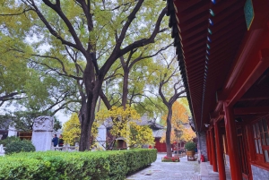 Beijing：Hutong Museum Cluster Tour—Culture, Temples & Life