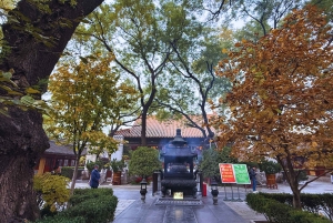 Beijing：Hutong Museum Cluster Tour—Culture, Temples & Life