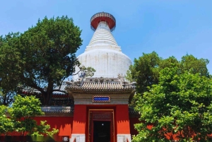 Beijing：Hutong Museum Cluster Tour—Culture, Temples & Life