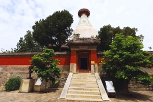 Beijing：Hutong Museum Cluster Tour—Culture, Temples & Life