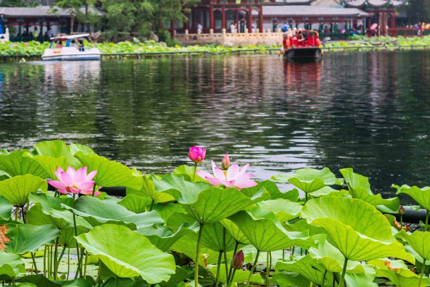 Pekin: Prywatna wycieczka po hutongach - przejażdżka rikszą i angielski przewodnik