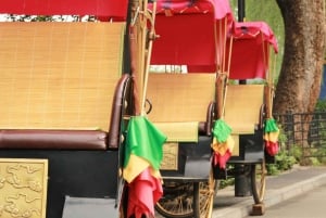 Pekin: Prywatna wycieczka po hutongach - przejażdżka rikszą i angielski przewodnik