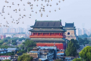 Pekin: Prywatna wycieczka po hutongach - przejażdżka rikszą i angielski przewodnik