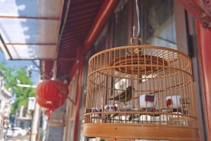 Visite à pied des hutongs : Découvrez le vrai Pékin sans les foules