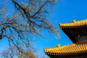 Tickets to all Beijing attractions (Forbidden City optional)