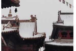 Pechino: tour di mezza giornata al Tempio dei Lama e agli antichi hutong (14:30)