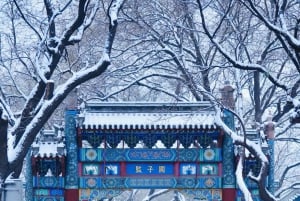 Beijing: Lama Temple and Hutong Alleyways Private Tour